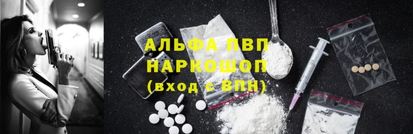 индика Абинск