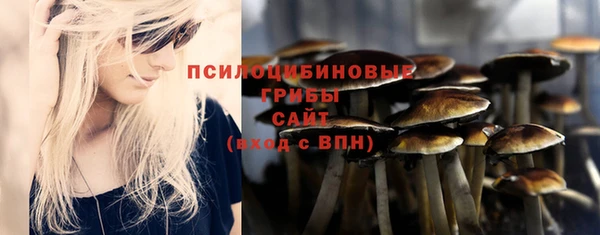 наркотики Алексин