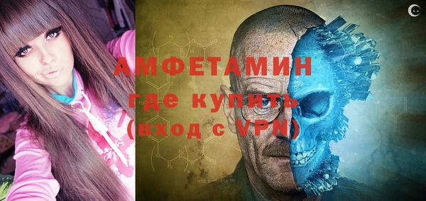 индика Абинск