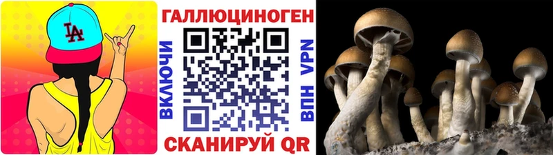 Галлюциногенные грибы Magic Shrooms  Алексин 